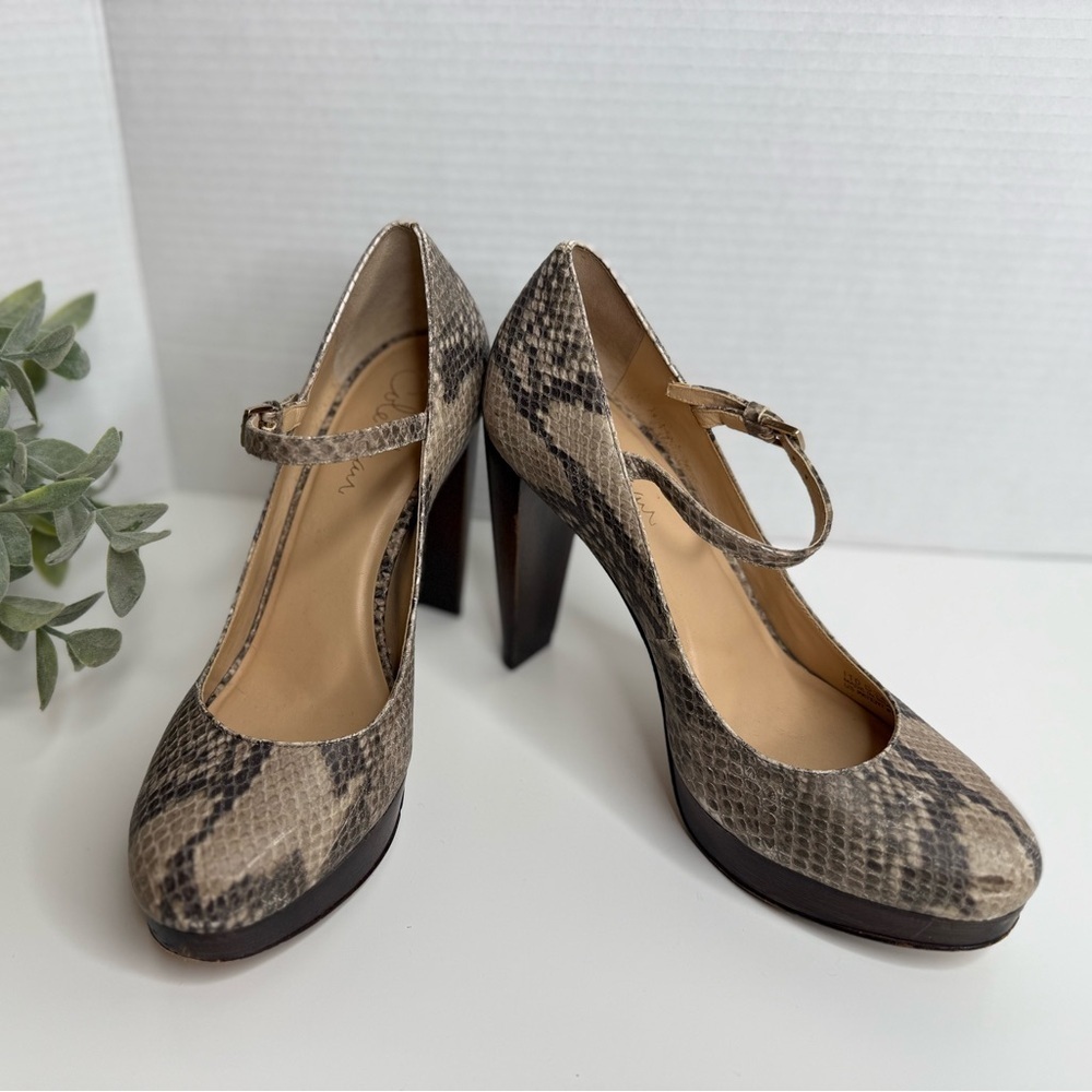 Cole Haan Snakeskin Print Mary Jane Platform Block Heels Size 7B Y2K Preppy Boho - Picture 3 of 15